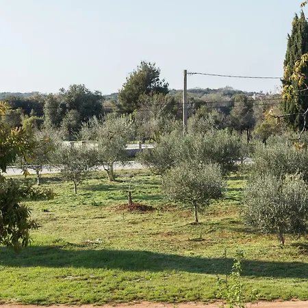 Apartamento Andrea Rovinj
