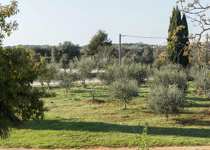 Apartman Andrea Rovinj